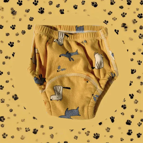 Potty Training Undies