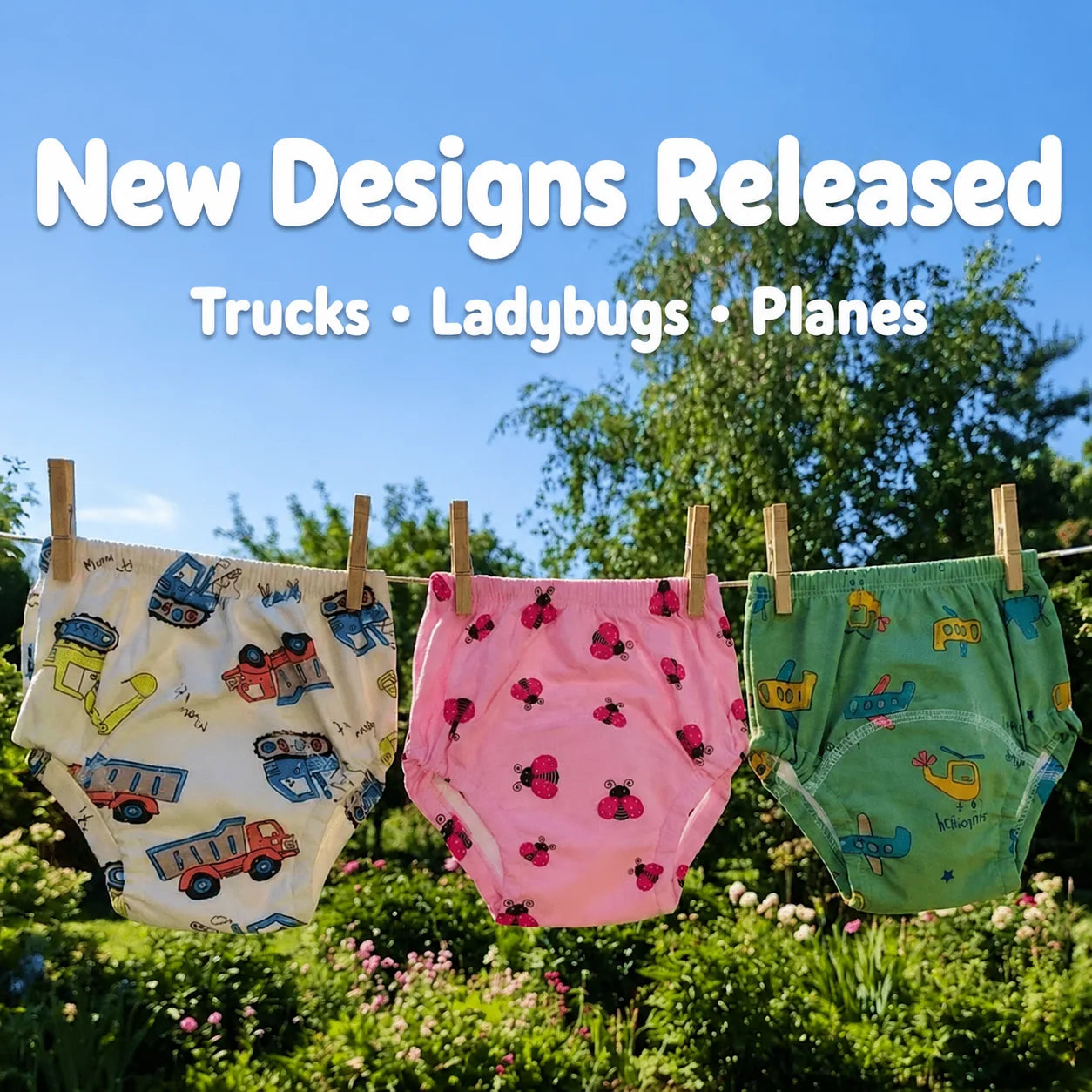 Potty Training Undies